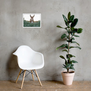 I See you Donkey - Framed poster