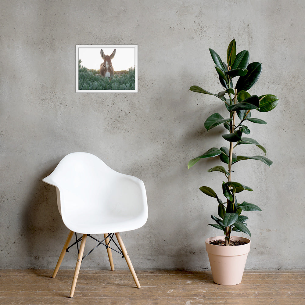 I See you Donkey - Framed poster