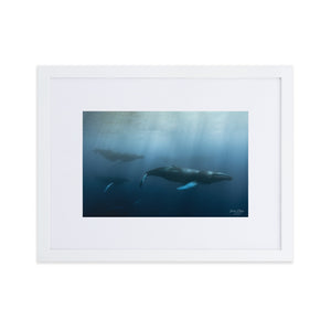 Whale fun - Matte Paper Framed Poster With Mat