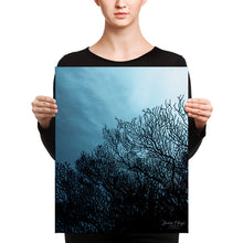 Sea Fan Underwater Canvas print