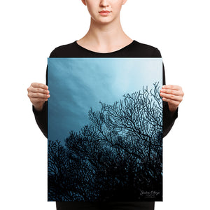 Sea Fan Underwater Canvas print