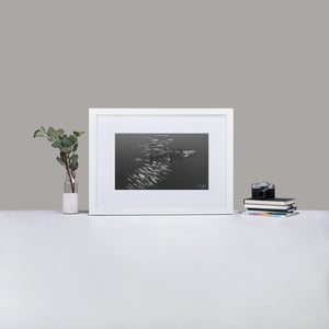 Baracuda - Matte Paper Framed Poster With Mat