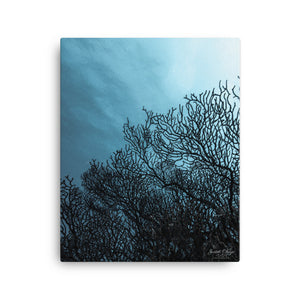 Sea Fan Underwater Canvas print
