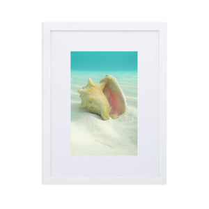 Dreams from the Sea iii - Matte Paper Framed Poster With Mat